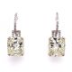 12.04 Ct. Total Weight 2 Cushion Cut Diamond Earrings.